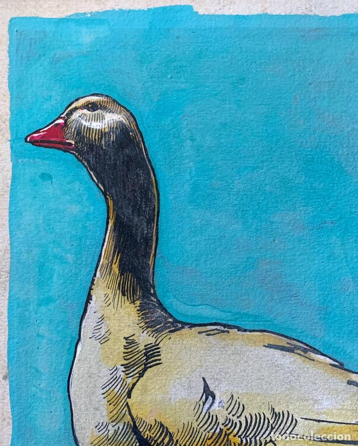 Arte: Alexandre Coll Blanch (1898-1975) Ocas - Foto 3