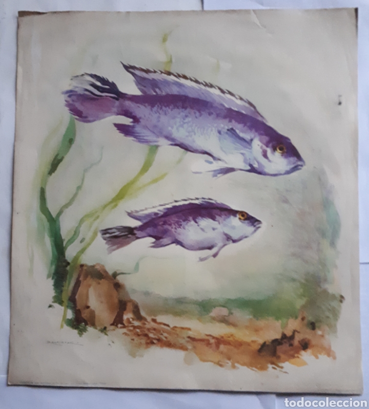 Arte: REPRODUCCION DE EPOCA DE ACUARELA DE BALLESTER. A&ntilde;os 60s.