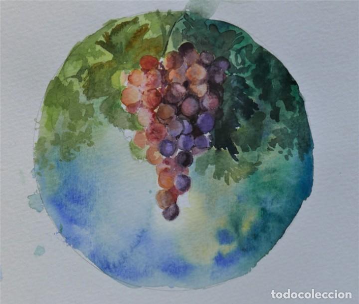 Art: ACUARELA UVAS BODEGA ORIGINAL MEDIDAS DIAMETRO 12 CM