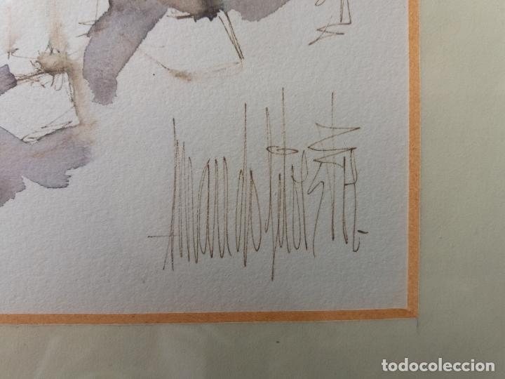 Arte: ACUARELA IBICENCA. AMANDO SILVESTRE. - Foto 5
