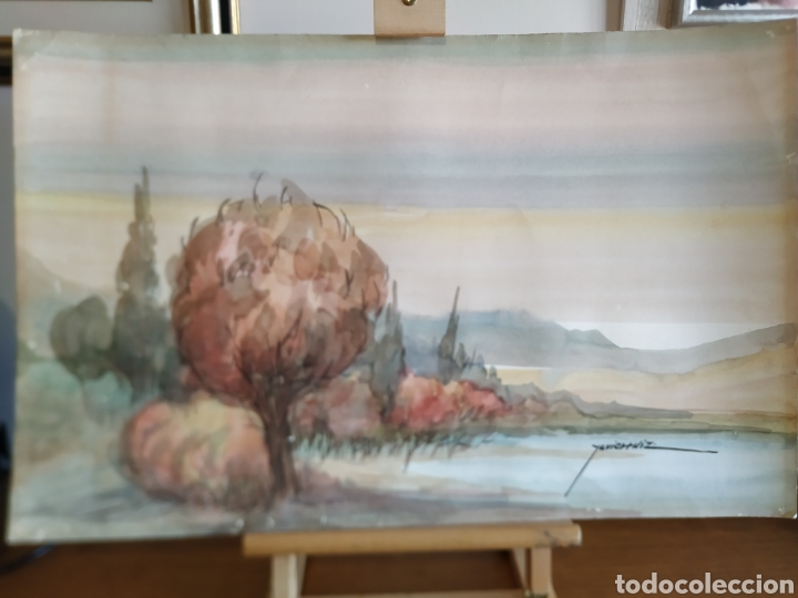 Arte: Acuarela, Javier Ruiz - Foto 1