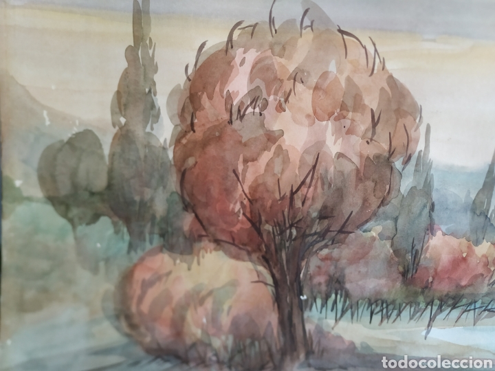 Arte: Acuarela, Javier Ruiz - Foto 2