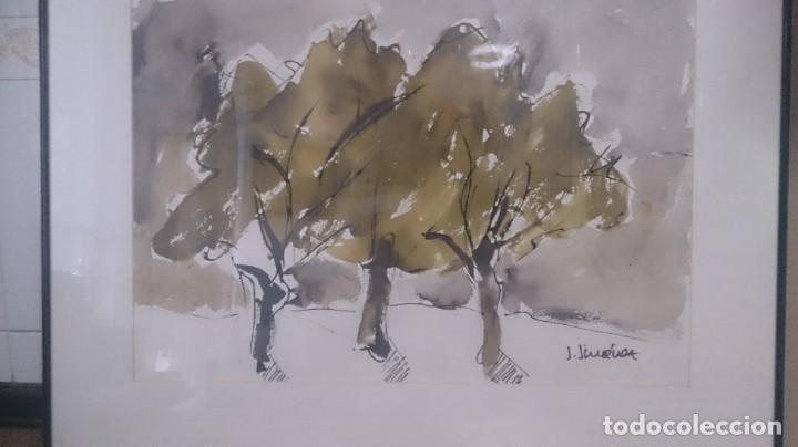 Arte: PRECIOSA ACUARELA PSISAJE CON &Aacute;RBOLES f JIMENEZ 60X45 CTMS