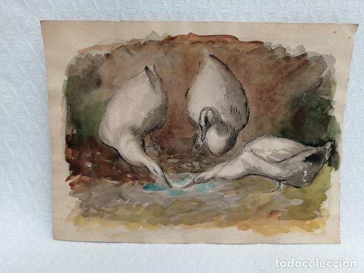 Arte: AN&Oacute;NIMO. ACUARELA SOBRE PAPEL. PATOS - Foto 1