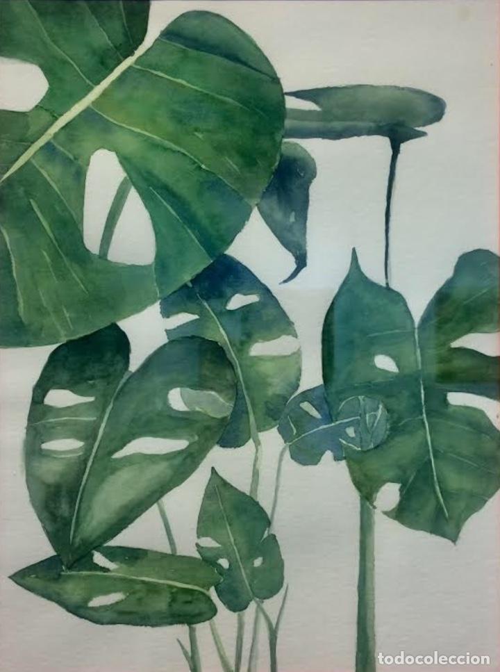 Arte: Ra&uacute;l P&eacute;rez - acuarela - Foto 1