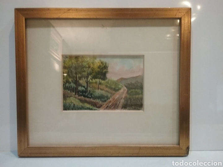 Arte: Acuarela de Manuel Gallart. - Foto 1