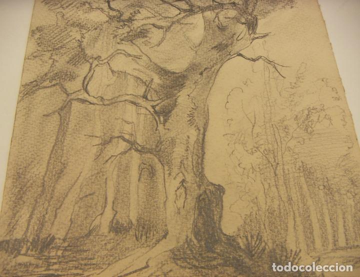 Arte: Bonito dibujo - Foto 2