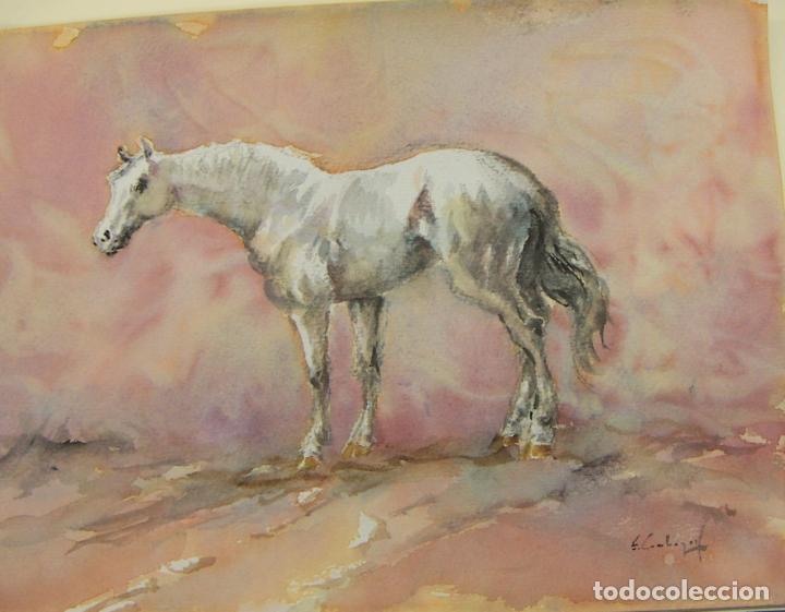 Arte: ACUARELA ORIGINAL DE EMILIO CARBONELL - Foto 1