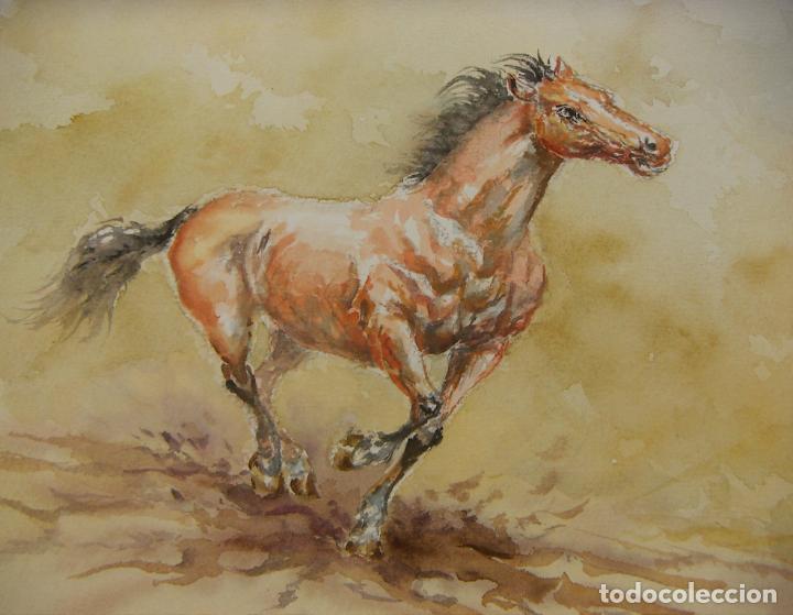 Arte: ACUARELA ORIGINAL DE EMILIO CARBONELL - Foto 2