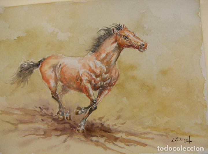 Arte: ACUARELA ORIGINAL DE EMILIO CARBONELL - Foto 1
