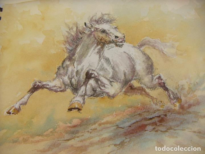 Arte: ACUARELA ORIGINAL DE EMILIO CARBONELL - Foto 2