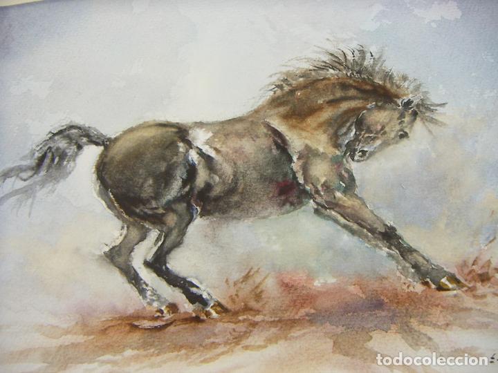 Arte: ACUARELA ORIGINAL DE EMILIO CARBONELL - Foto 2