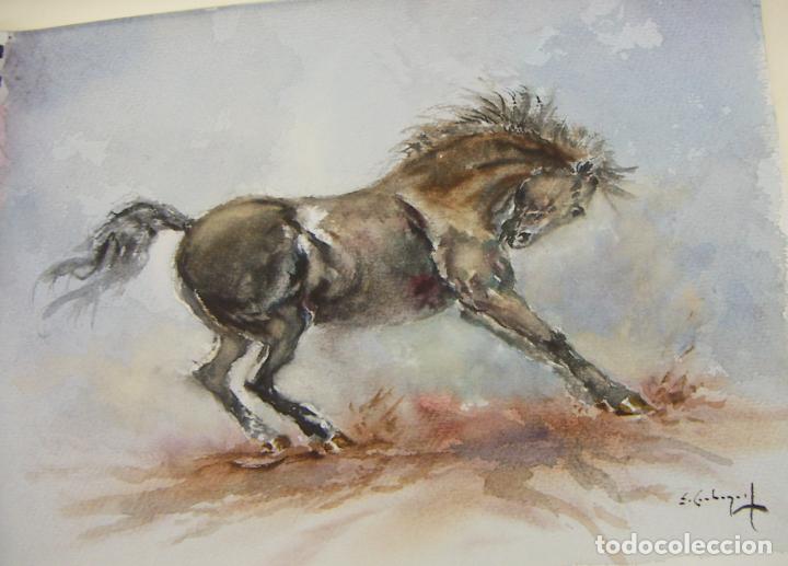 Arte: ACUARELA ORIGINAL DE EMILIO CARBONELL - Foto 1