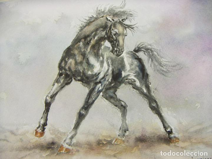 Arte: ACUARELA ORIGINAL DE EMILIO CARBONELL - Foto 2