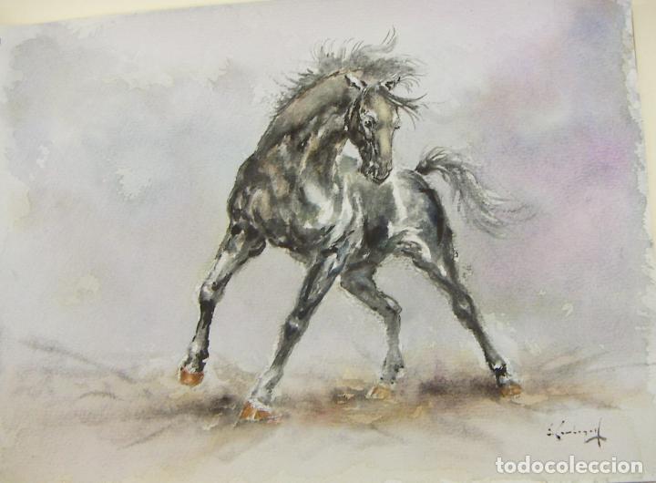 Arte: ACUARELA ORIGINAL DE EMILIO CARBONELL - Foto 1