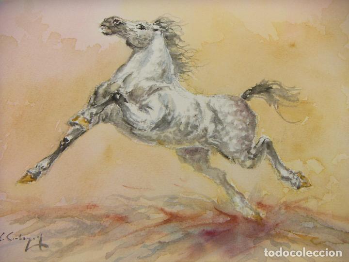 Arte: ACUARELA ORIGINAL DE EMILIO CARBONELL - Foto 2