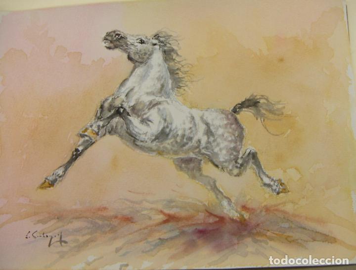 Arte: ACUARELA ORIGINAL DE EMILIO CARBONELL - Foto 1