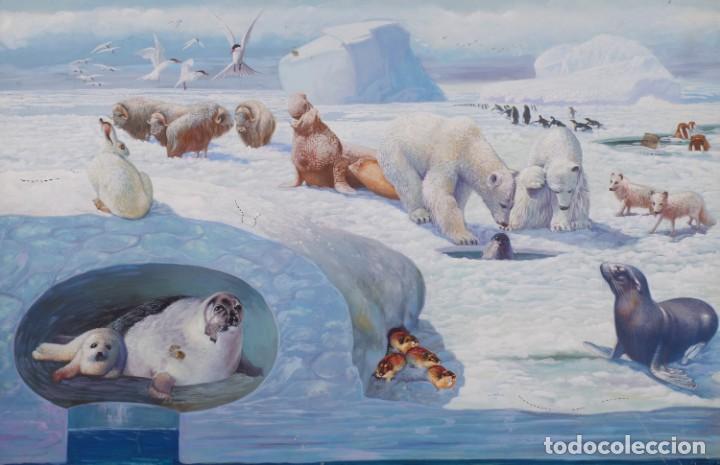 Arte: Acuarela Polar. 36cmx56cm