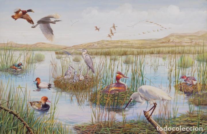 Arte: Acuarela pajaros. 36cmx56cm