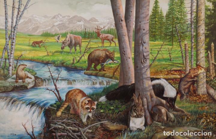 Arte: Acuarela bosque con animales varios. 36cmx56cm