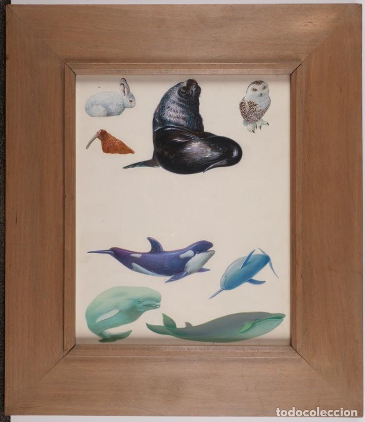 Arte: Acuarela animales varios con marco. 33cmx26cm