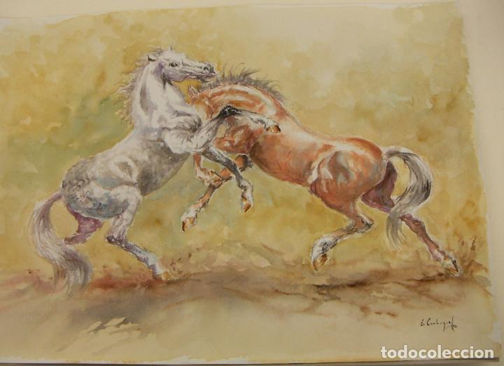 Arte: ACUARELA ORIGINAL DE EMILIO CARBONELL - Foto 1