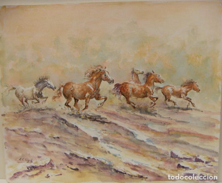 Arte: ACUARELA ORIGINAL DE EMILIO CARBONELL - Foto 1