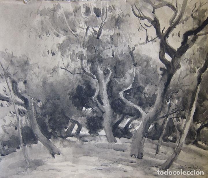Arte: JOSEP MARIA MIRALLES TINTUR&Eacute;. EL PINAR, 1945. AGUADA EN NEGRO. 51,5 X 62 CM