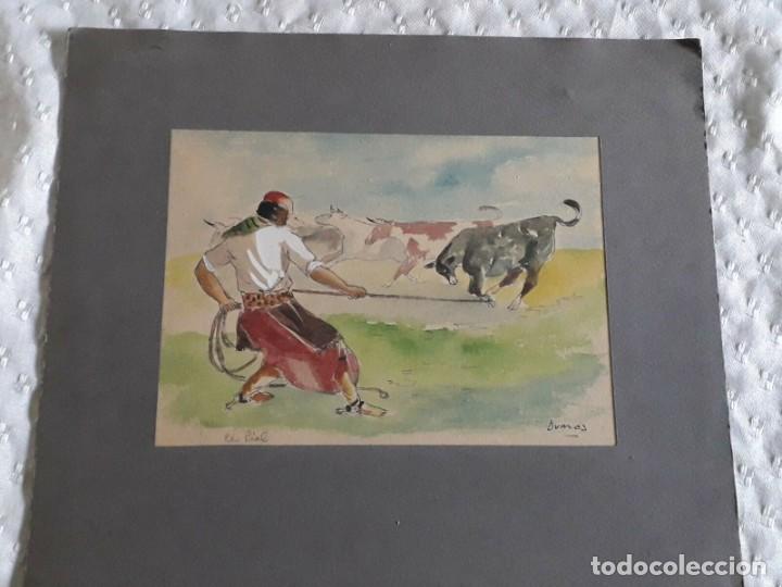 Art: Acuarela Doma Toro Gaucho Firma Dumas Consultar Stock