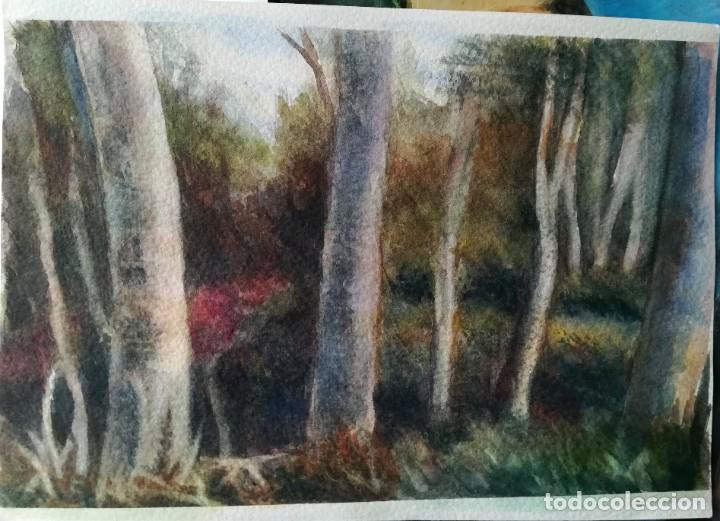 Arte: ACUARELA ORIGINAL BOSQUE - Foto 1
