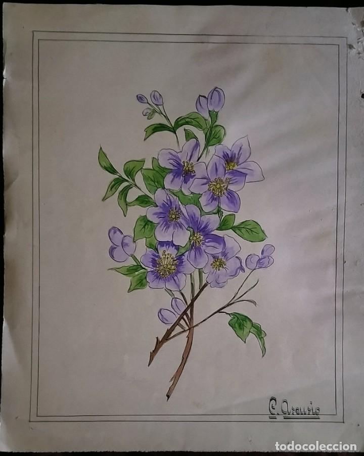acuarela, lápiz y tinta / * ramo de flores viol - Acheter Aquarelles  contemporaines du XXe siècle sur todocoleccion