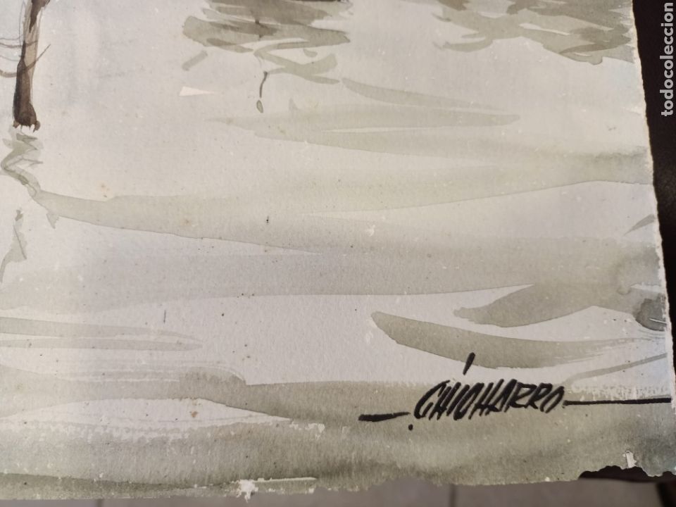 Arte: Acuarela Tom&aacute;s Chicharro - Foto 3