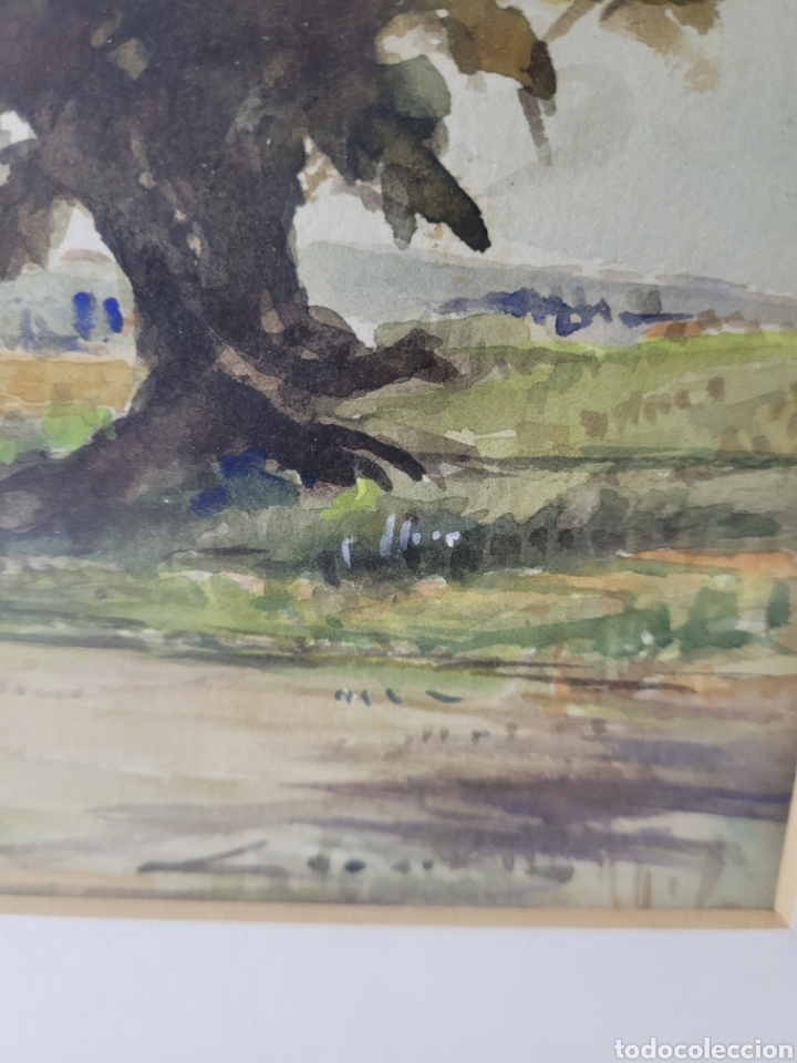 Arte: Paisaje Ilegible - Foto 6