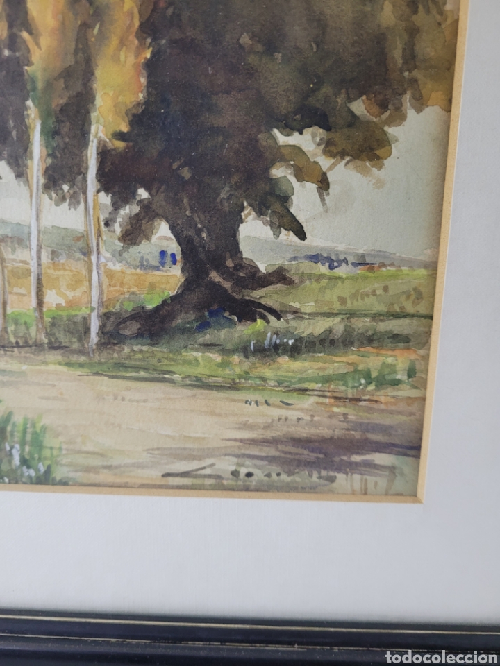 Arte: Paisaje Ilegible - Foto 7
