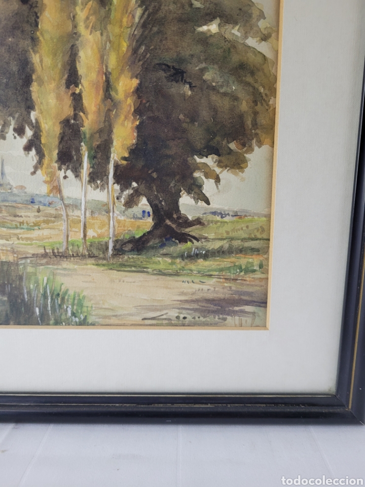 Arte: Paisaje Ilegible - Foto 8