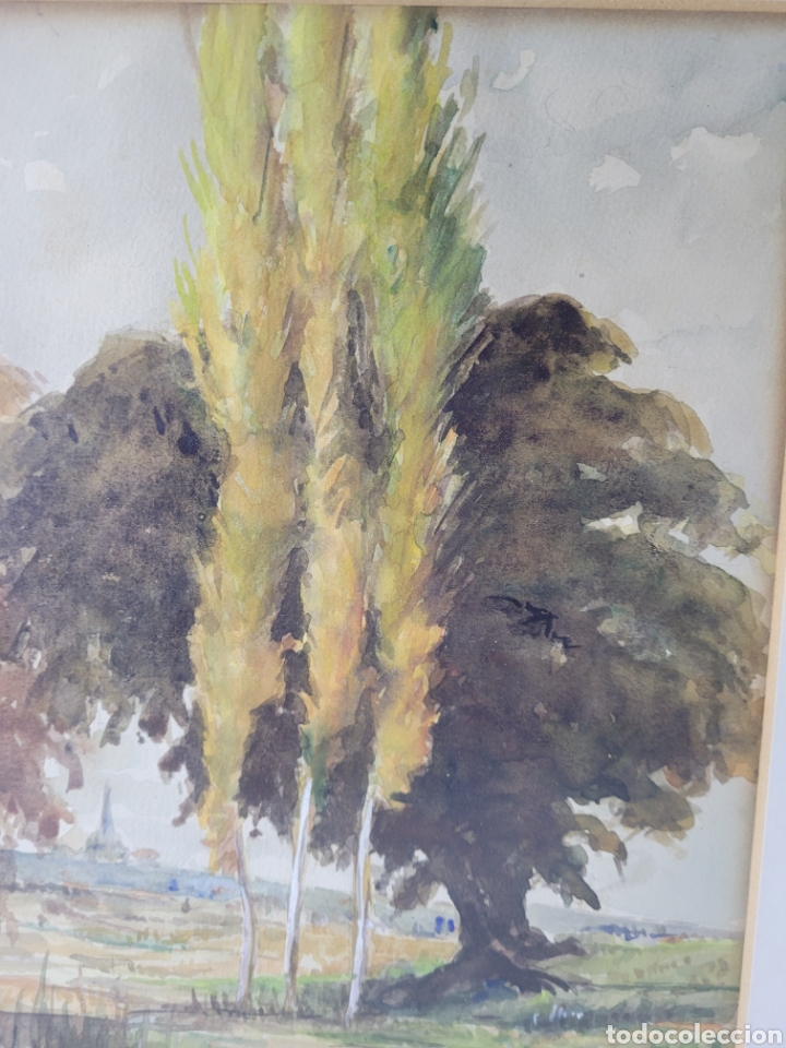 Arte: Paisaje Ilegible - Foto 10