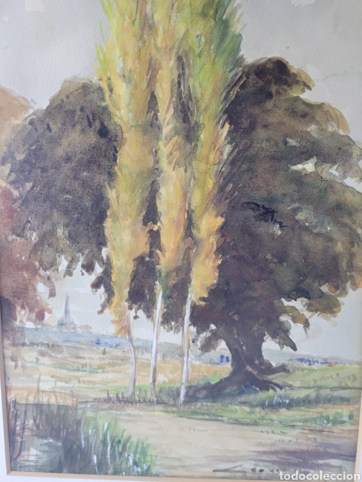 Arte: Paisaje Ilegible - Foto 12