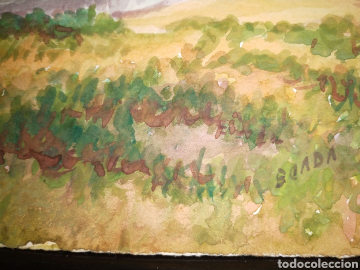 Arte: Acuarela firmada Boada. - Foto 2