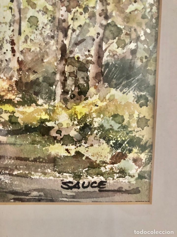 Arte: Acuarela de Luis SAUCE - Foto 2