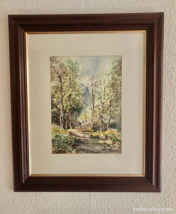 Arte: Acuarela de Luis SAUCE - Foto 4
