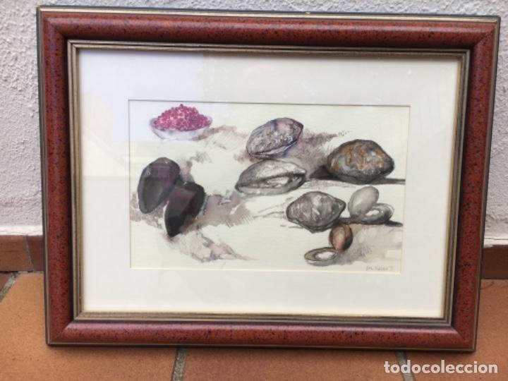 Art: ACUARELA DE ROC ALABERN (1945-2003) DE 1981 - MEDIDAS 65x45