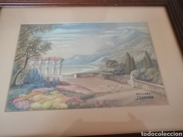 Arte: Acuarela J. S&aacute;nchez - Foto 3