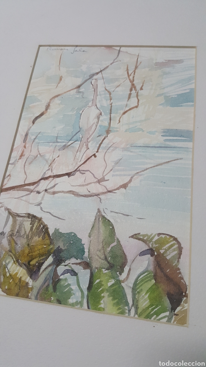 Art: ACUARELA DE RAM&Oacute;N SALA &rdquo;P&Aacute;JARO ATISBANDO EL HORIZONTE&rdquo;