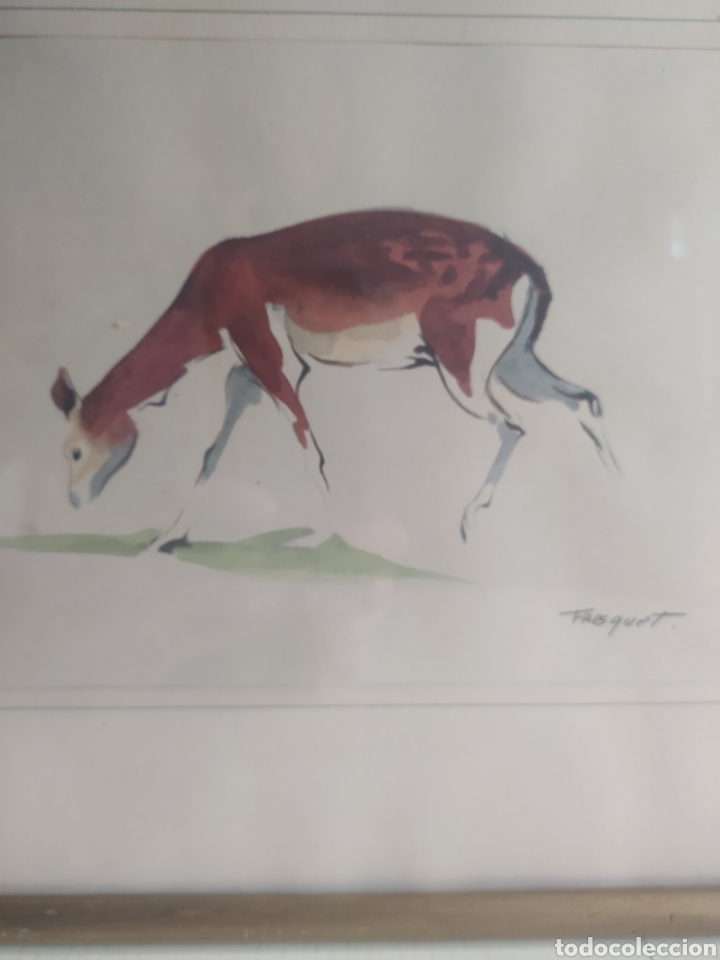 Art: Acuarela firmada Fresquet