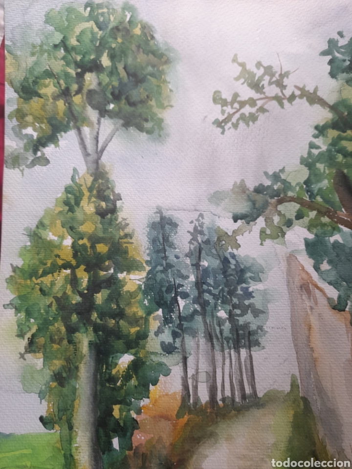 Arte: Bonita acuarela - Foto 2