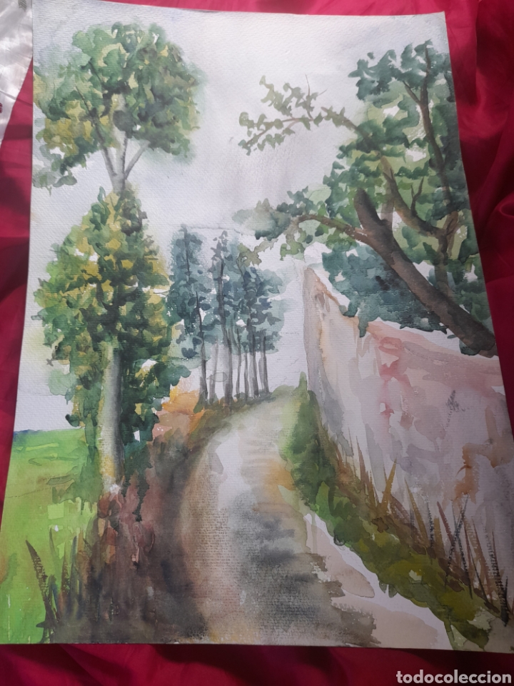 Arte: Bonita acuarela - Foto 1
