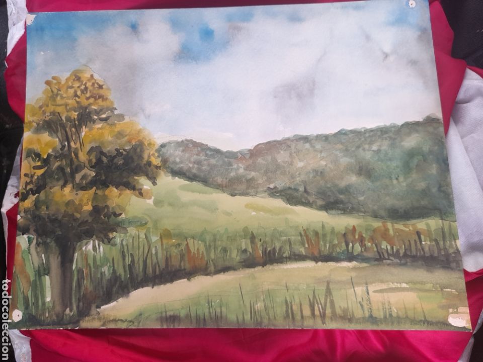 Arte: Acuarela - Foto 1