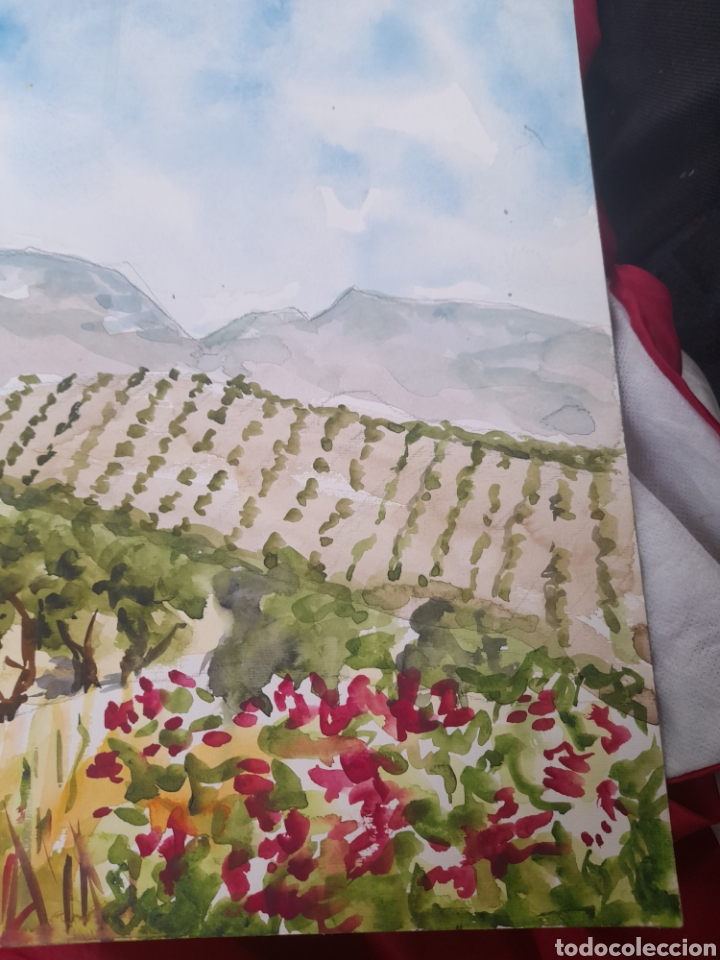 Arte: Acuarela - Foto 2