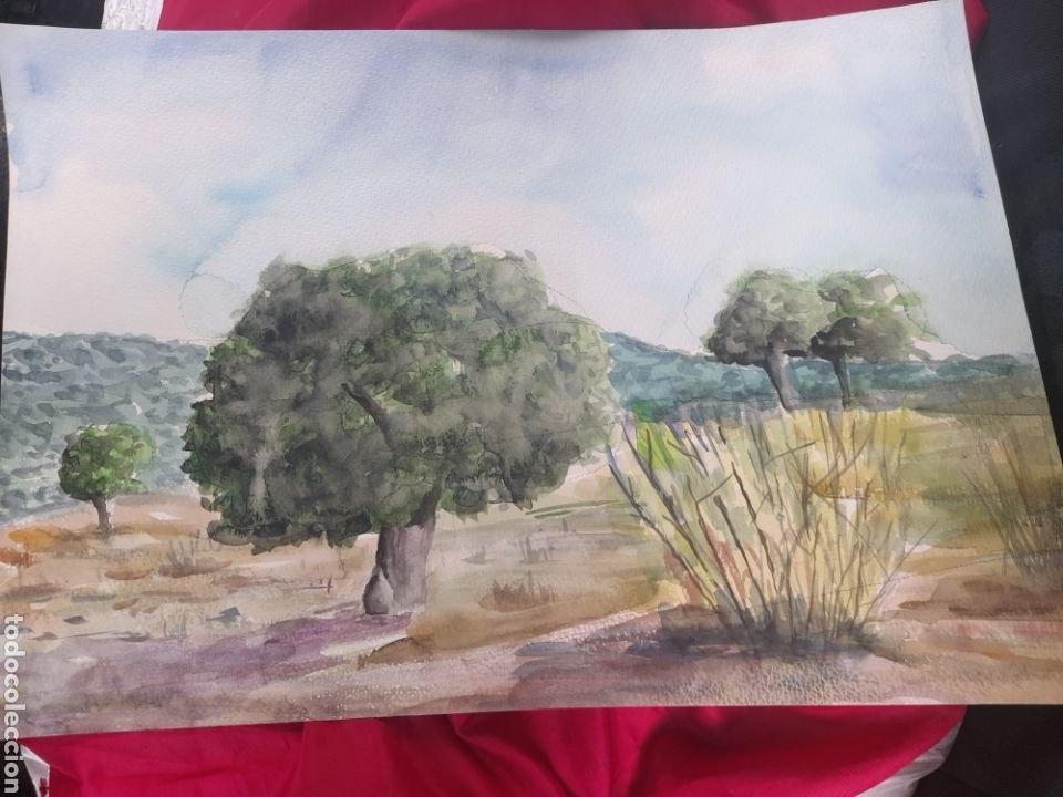 Arte: Acuarela - Foto 1