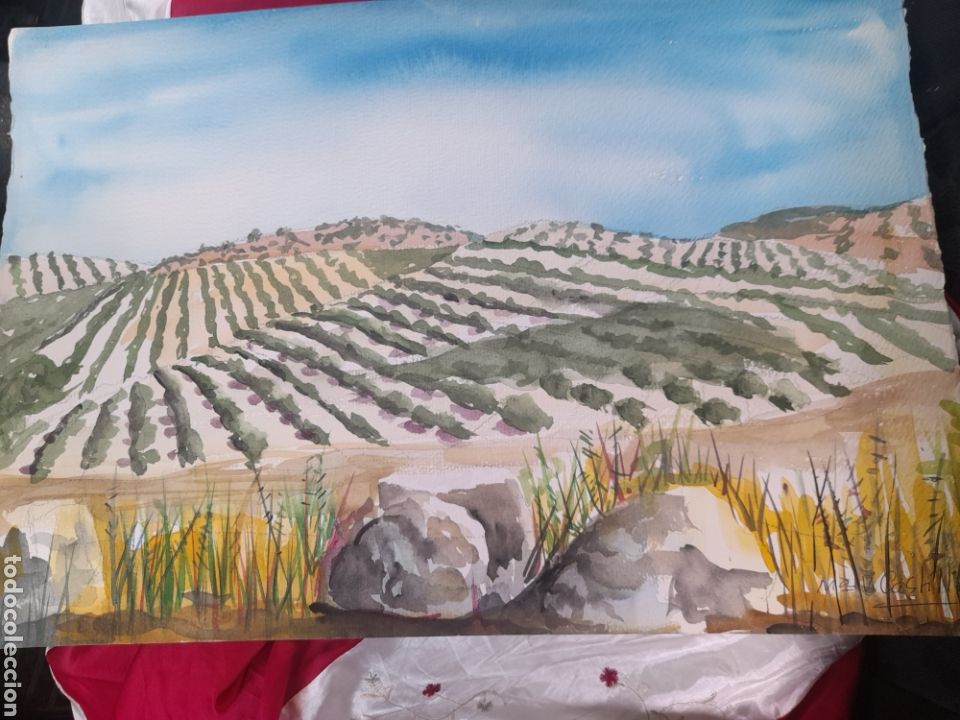 Arte: Acuarela - Foto 1